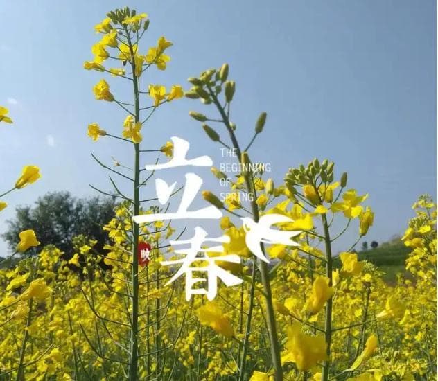 立春的由来及习俗有哪些