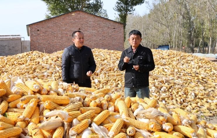 内蒙古开鲁县：以“数智”带“数治”