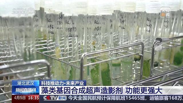 藻类造影+稻米造血 武汉生物制造开启未来产业新图景