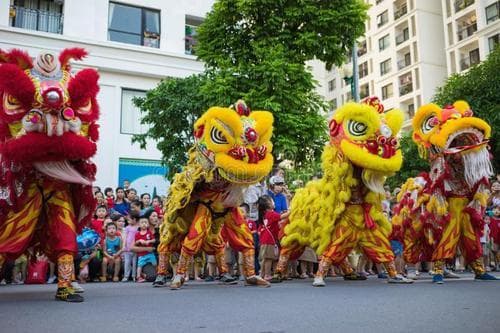 中国的舞狮文化：南狮和北狮有什么区别？每一只狮子里面都有灵魂