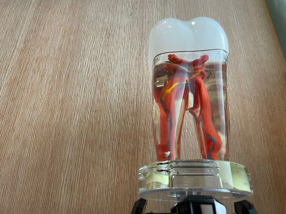 缺牙后遗症不可轻忽！及早治疗避免影响生活品质
