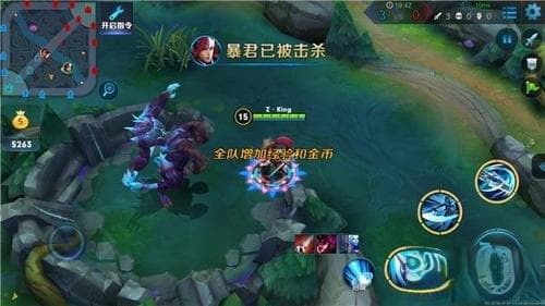 王者荣耀野怪利用攻略：从基础控制到团队协作的全方位指南