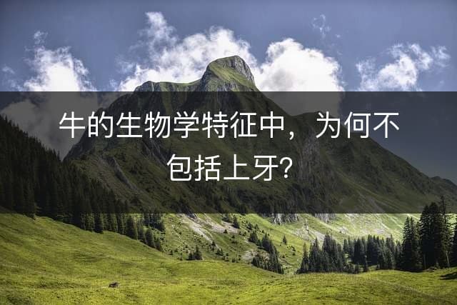 牛的生物学特征：为何没有上牙？