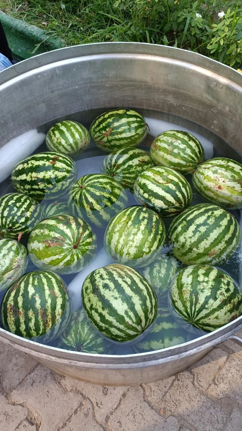 西瓜薄荷汤：夏日清凉解暑的新选择