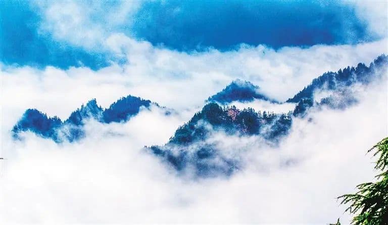 大美秦岭丨上春山 邂逅秦岭“醉”美春光