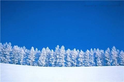 老话“江南三尺雪，人道十年丰”什么意思？