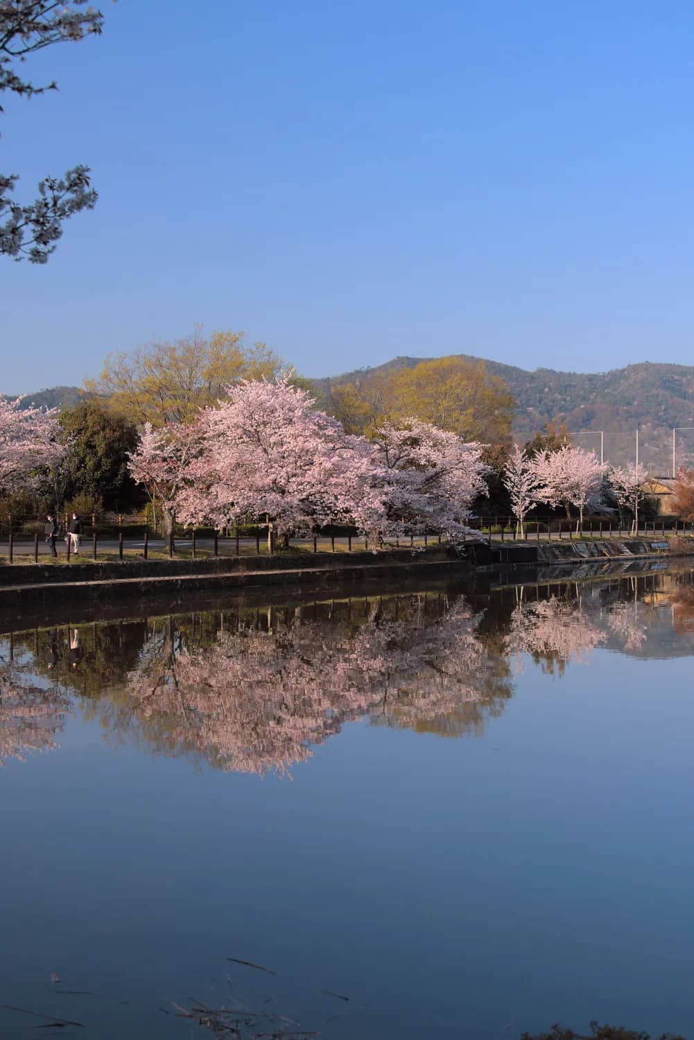 云台山四季美景，打卡网红景点