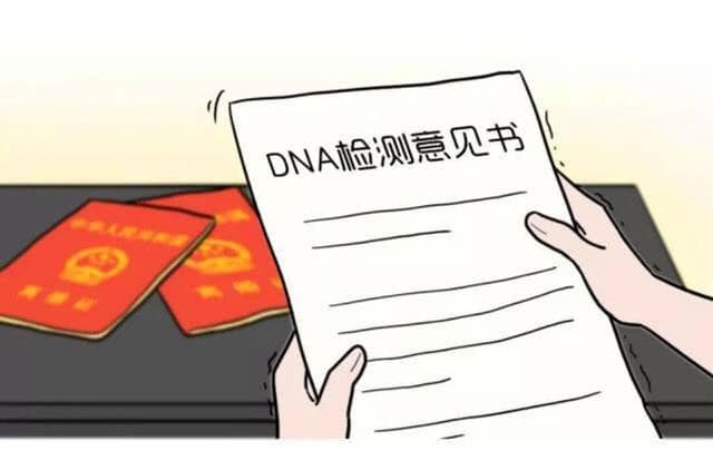 深入解析亲子鉴定报告中的SNP：基因差异背后的关键角色