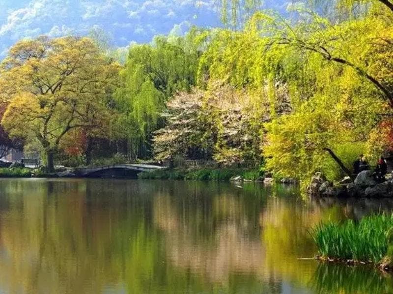 男孩取名带“杰”字吉凶寓意解读，起名最佳配字还得这些经典