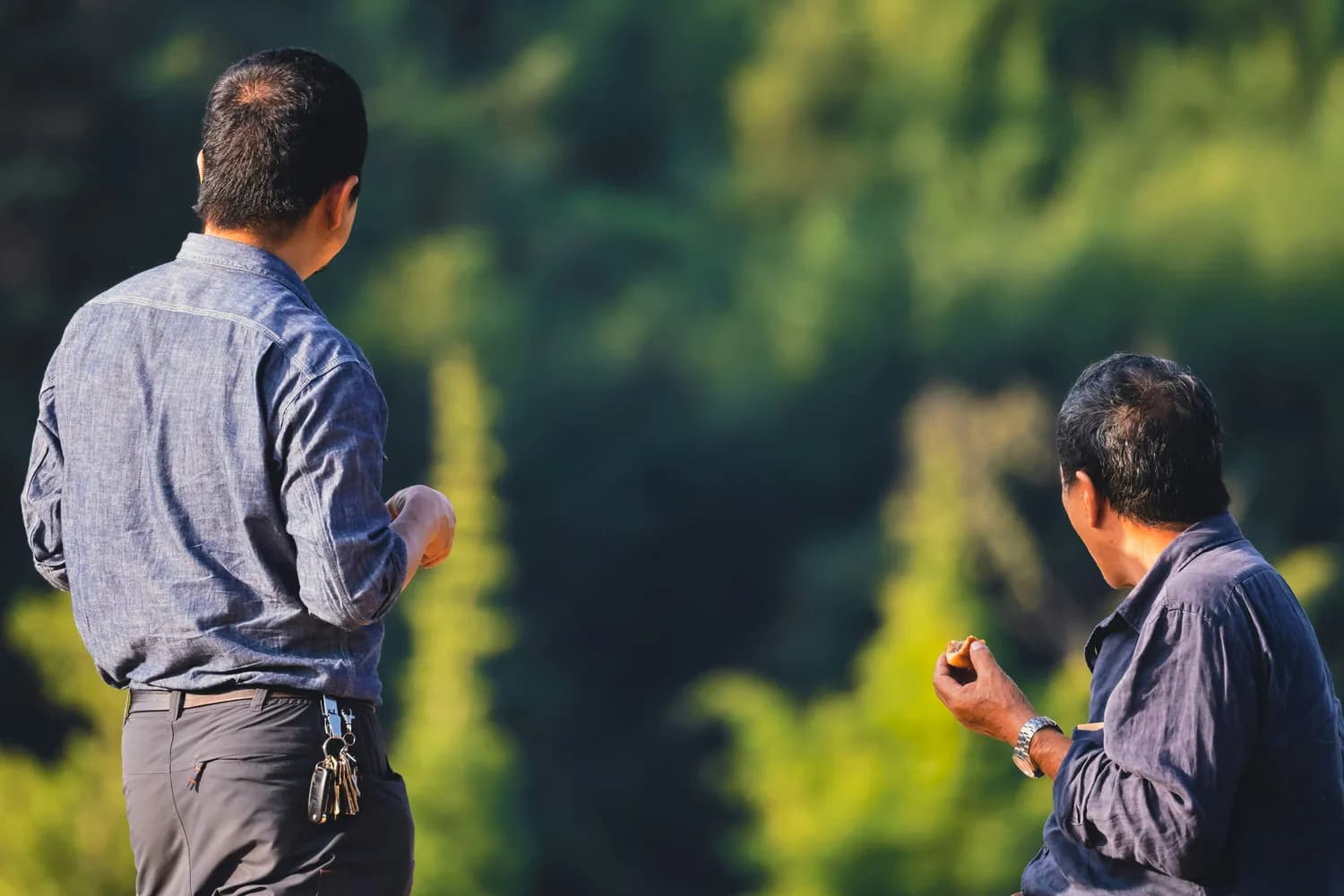 从中药到染料：栀子的养生与生活应用解析