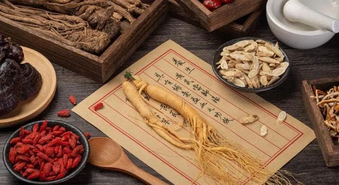 研究进展 | 人参活性成分与人类健康关系探讨