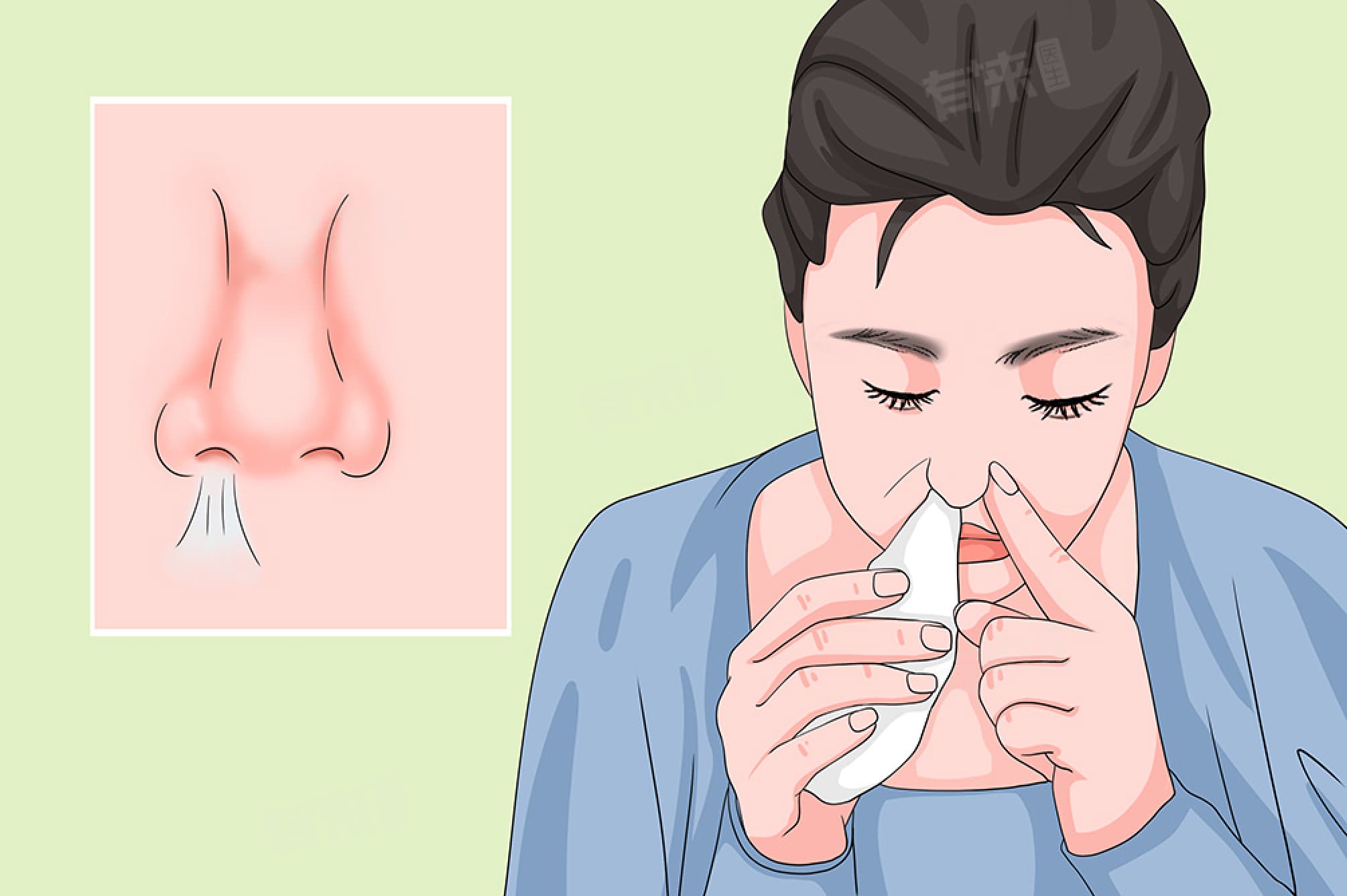 伪麻黄碱的作用是什么