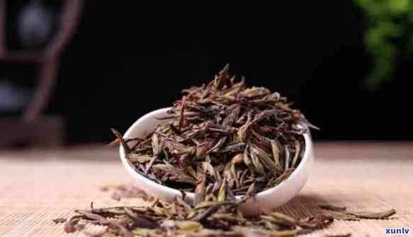 古树紫芽苞属于哪种茶类？详解其茶种特性