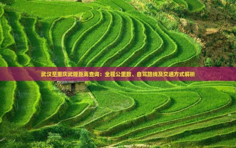武汉至重庆武隆旅游攻略：全程公里数、自驾路线及交通方法详解