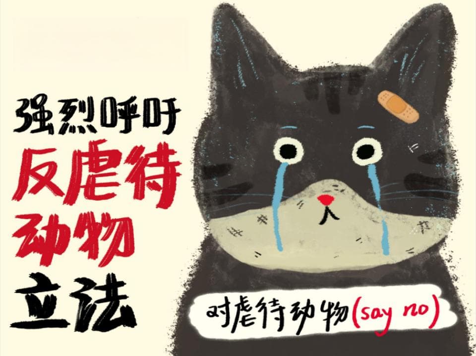 呼吁善待，为它们发声！街猫首推“反虐待动物主题宣传月”活动