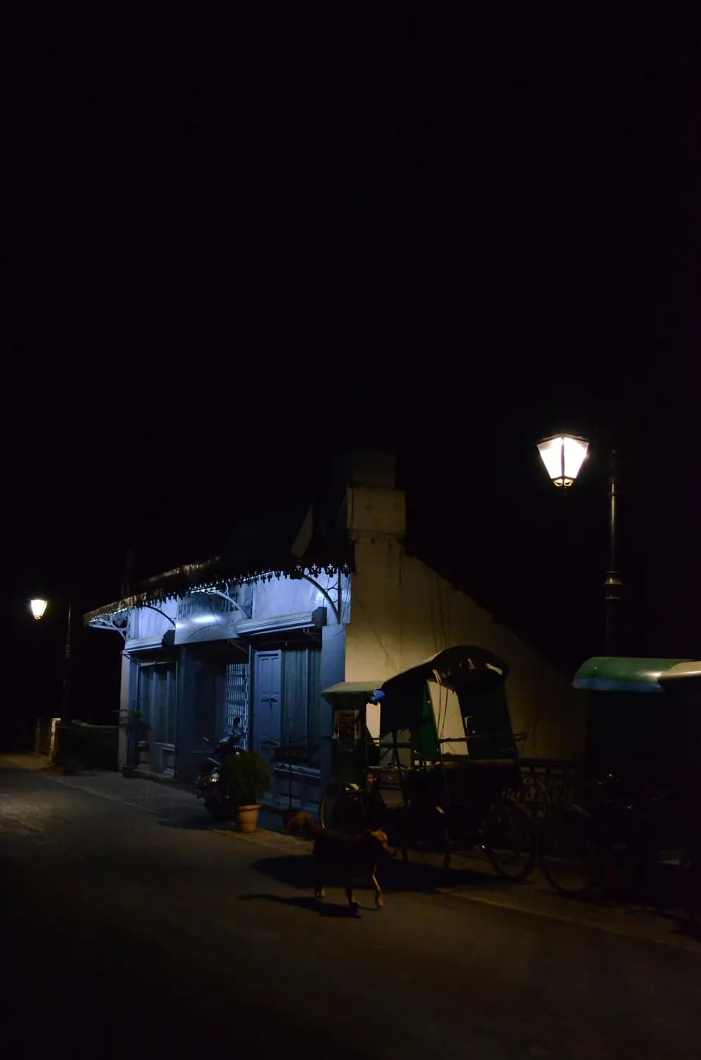 春节必备！NightCafe & 一键改图帮你轻松搞定龙年头像