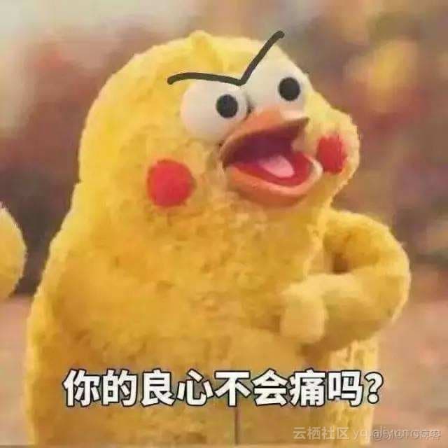 深度学习训练中GPU内存的专用与共享机制