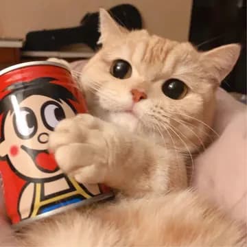 哪些保险是保本的