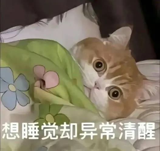 失眠脱发怎么办？这些方法帮你改善睡眠促进头发生长