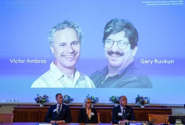 2024年诺贝尔生理学或医学奖被授予微小核糖核酸发现者
