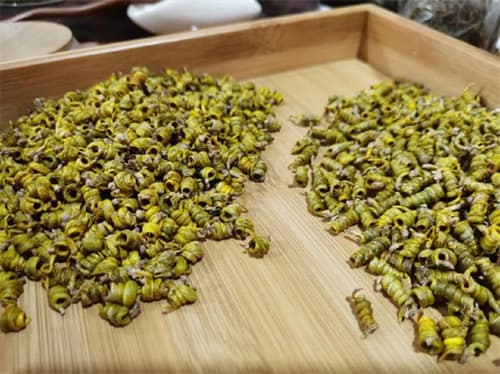 霍山石斛的功效与食用方法
