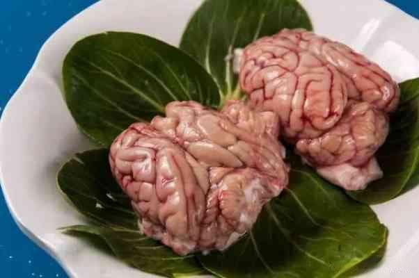 猪脑补脑是误区，高胆固醇伤身，科学证实无益