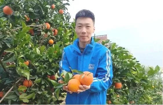 快递计重须至小数点后一位，明确这4种末端投递方式