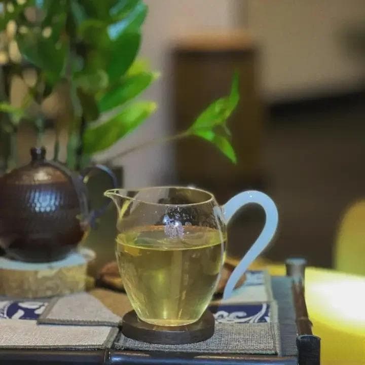 带花不带花，哪个才是好茉莉？三大派系品鉴与推荐
