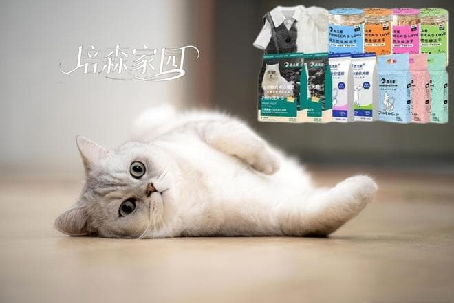 揭秘猫咪呼噜声：从开心到健康预警的多重意义