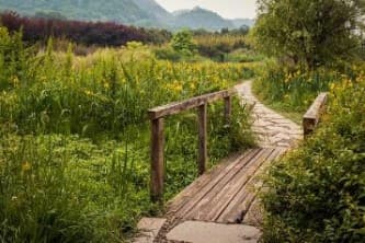 济南野生动物世界游玩攻略：门票、交通、路线全解析