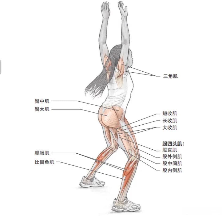 快速提升跑步爆发力，这些基础跳跃动作一定要练起来