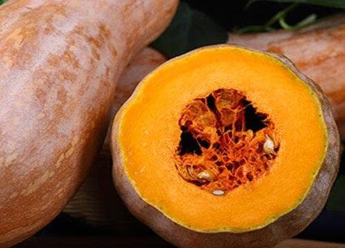 黄色蔬菜有哪些？55种常见品种及营养价值详解