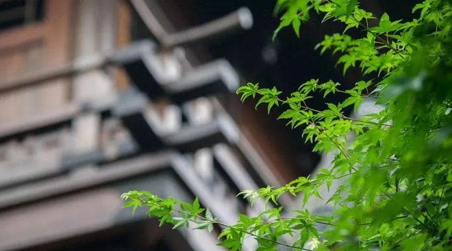 春节走亲戚，这3家人尽量不去，都是老祖宗过来人的经验