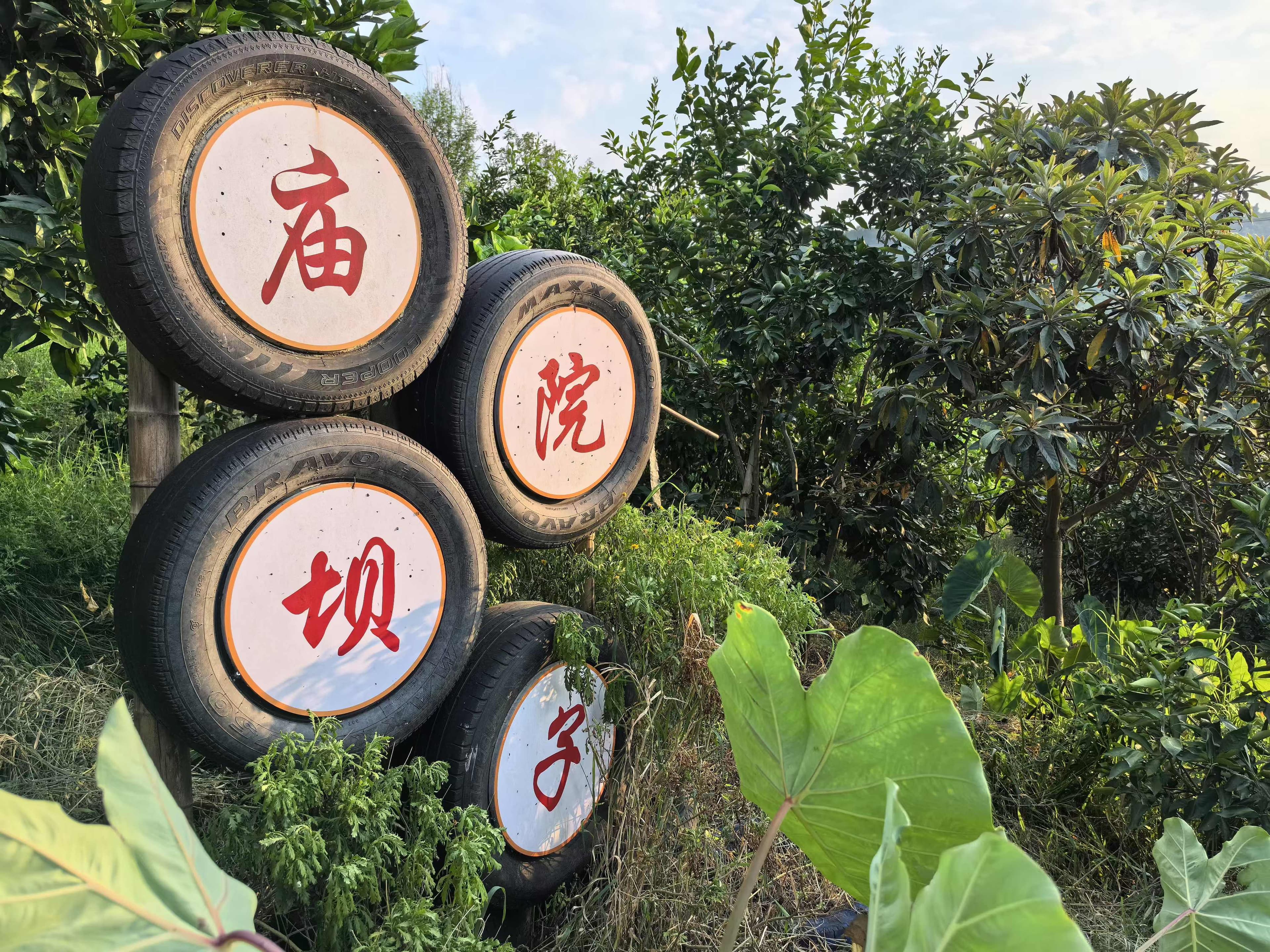 重庆万州：深耕院落“微细节” 撬动乡村“大治理”