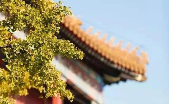 《菜根谭》：处世之道，智欲圆而行欲方