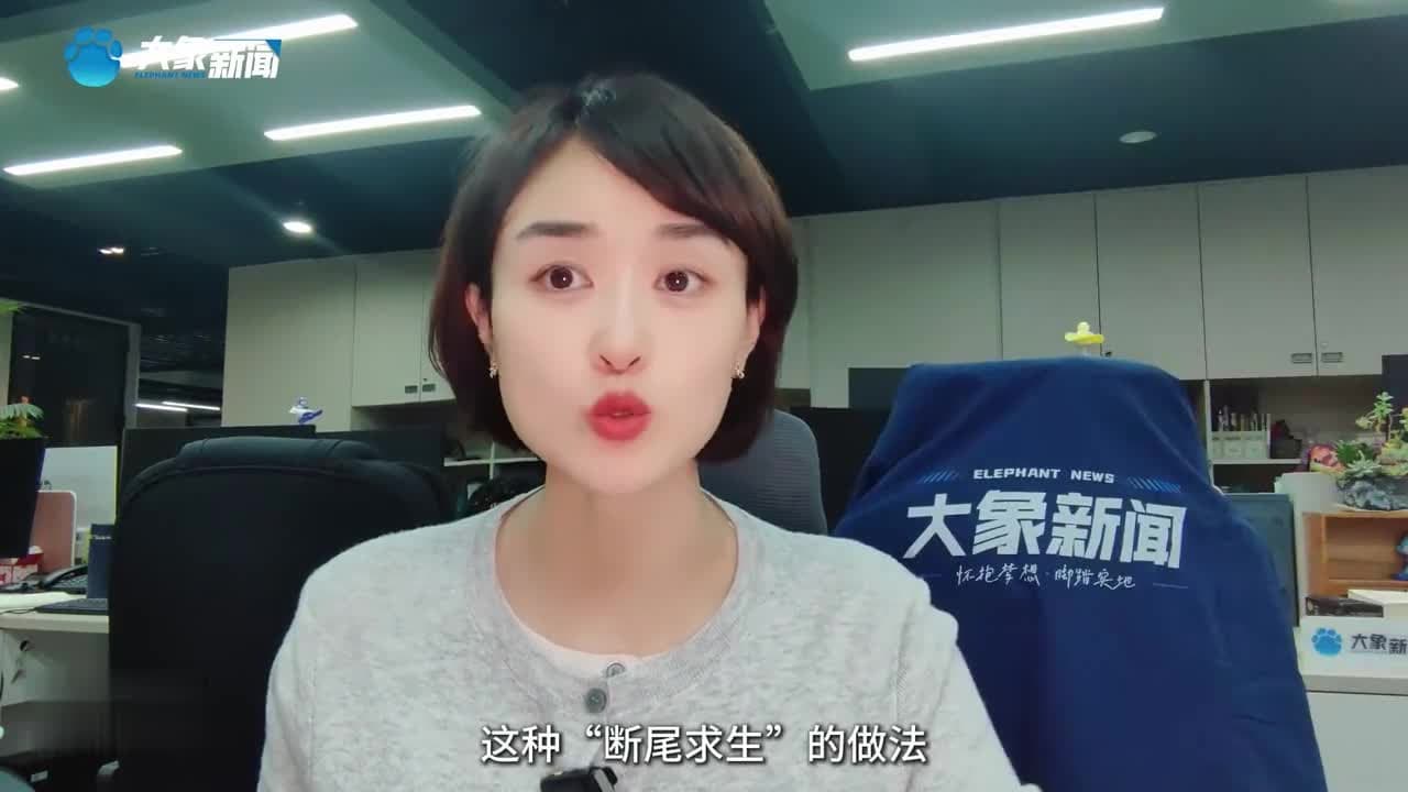 杨铭宇黄焖鸡：道歉信背后，是品牌自毁长城的“系统性溃烂”