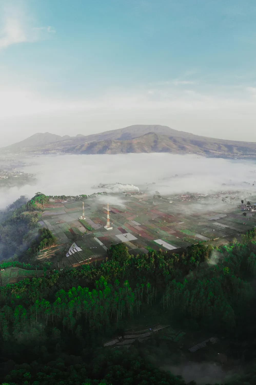 梁平预制菜产业崛起：打造西部千亿级产业集群