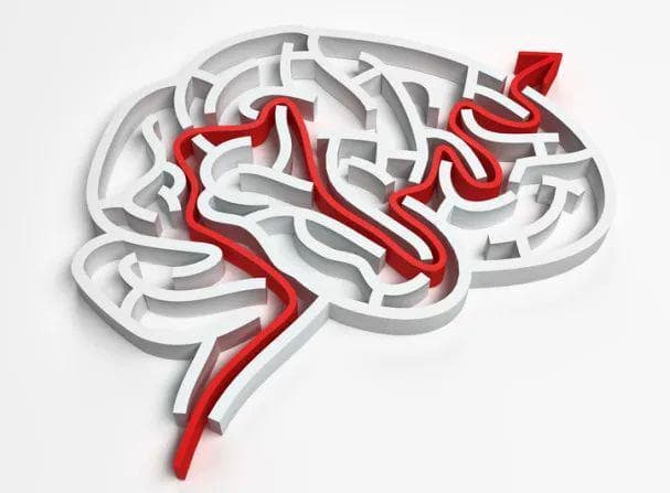 脑科学告诉你：提高记忆力，保持大脑年轻的4种方法
