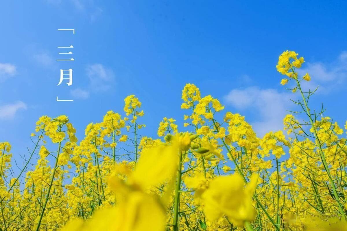 农历“蚕月”：三月里的农耕文化与历史传承