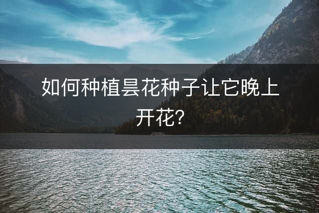 如何种植昙花种子让它晚上开花？