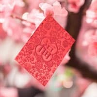 臭氧消毒需要多长时间？