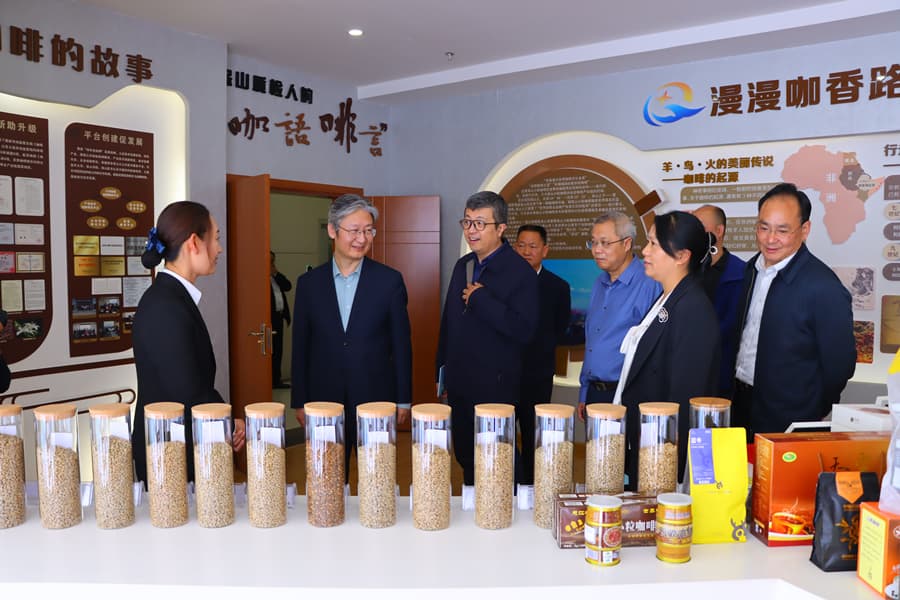 监管为民 服务发展⑨|云南省市场监管局推动保山小粒咖啡变身“金豆子”