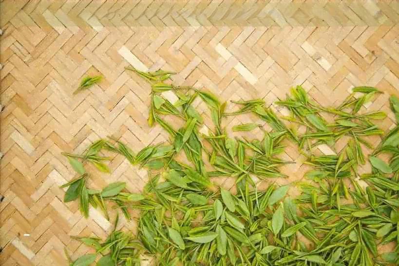 超过多少小时算隔夜茶：茶叶保存及泡水黄金时间解析