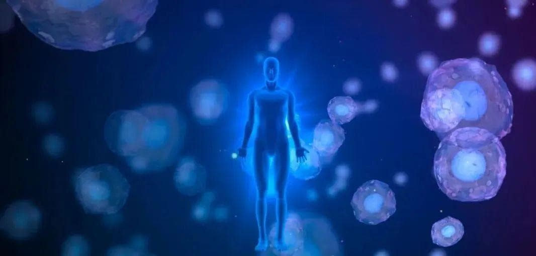 干细胞药物：下一代医药产品，疾病治疗的一场新革命