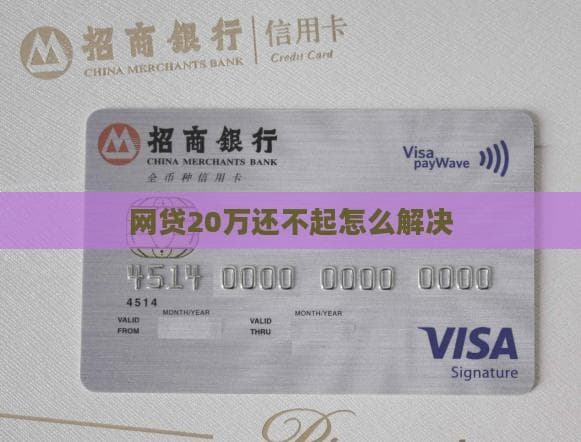 网贷20万还不起怎么办？六大解决方案帮你走出债务困境