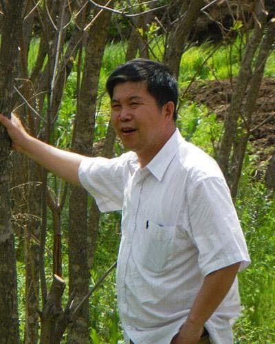 黑土退化对粮食生产的影响
