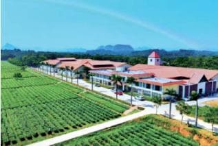 广东最大县级市英德：科技创新引领产业转型升级