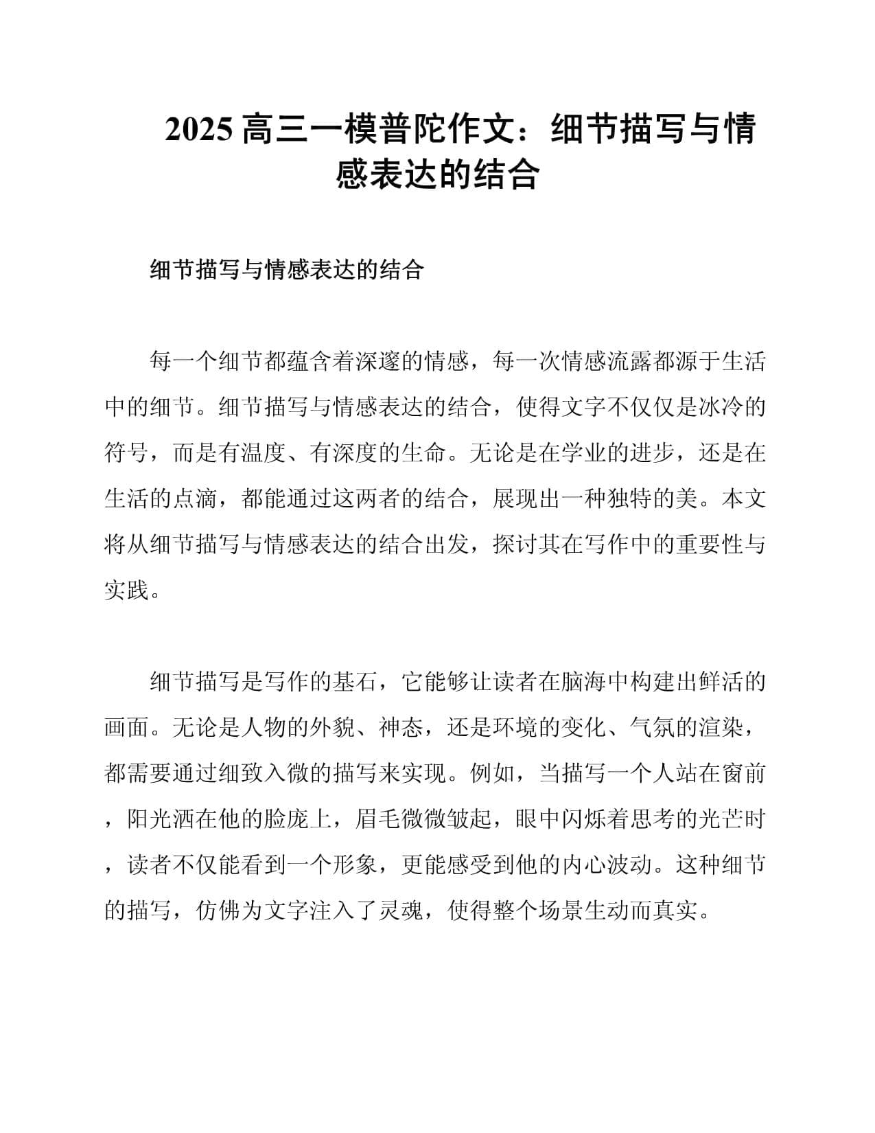 2025高三一模普陀作文：细节描写与情感表达的结合