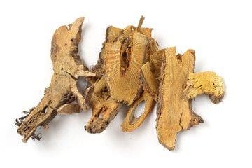 10种常用降尿酸的中药