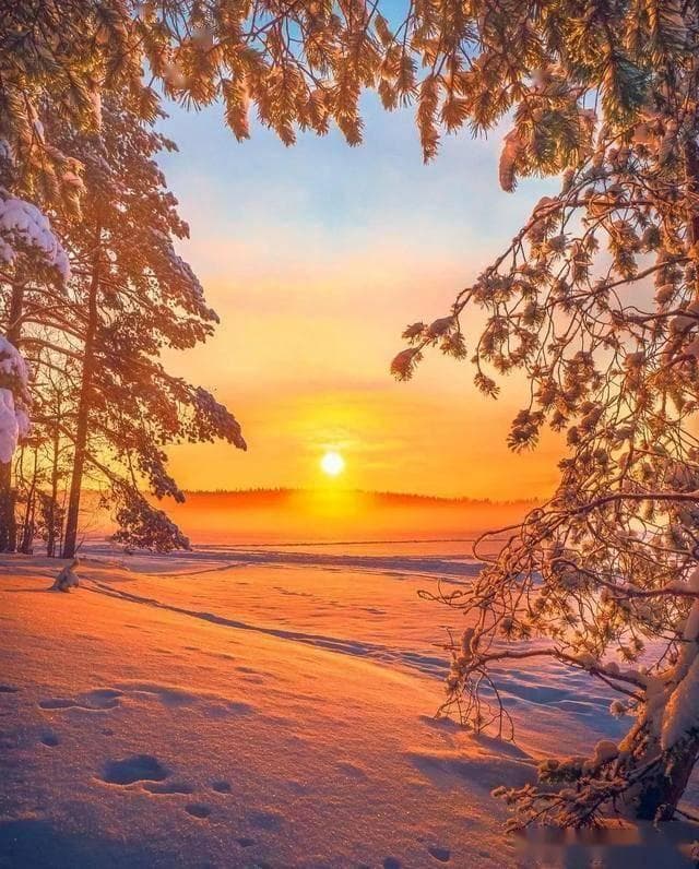 雪中阳光，就是一道风景！